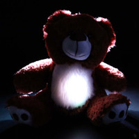 BooBuddy Interactive Ghost Hunting Bear with Lights and Sound