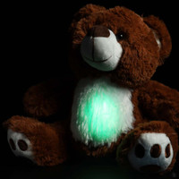 BooBuddy Interactive Ghost Hunting Bear