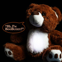 BooBuddy Interactive Ghost Hunting Talking Interactive Bear