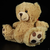 BooBuddy Junior EMF Boo Bear