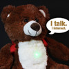 BooBuddy Interactive Ghost Hunting Bear